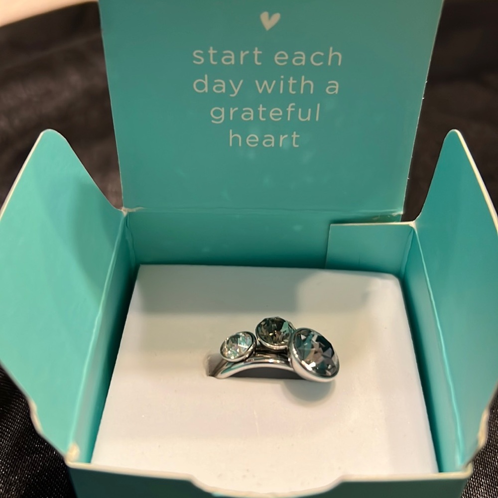 Size 6 Origami Owl